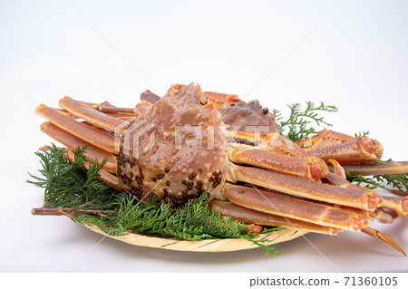 Matsuba crab raw ingredients Matsuba crab raw ingredients 71360105