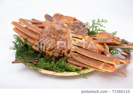松葉蟹原料 松葉蟹原料 71360110