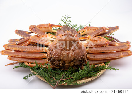 松葉蟹原料 71360115
