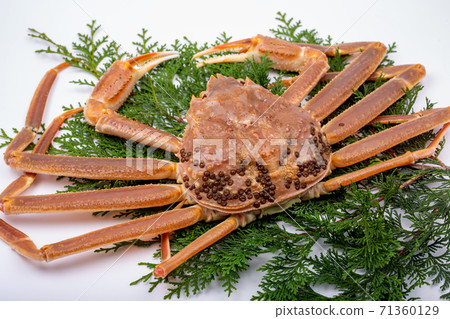 Matsuba crab raw ingredients 71360129