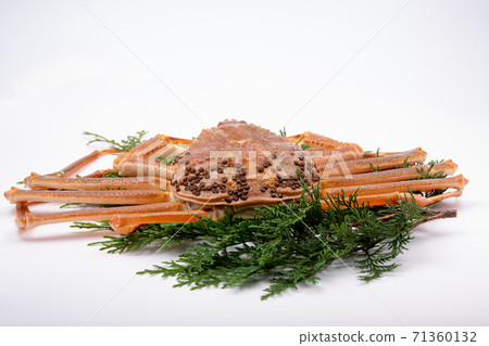 松葉蟹原料 松葉蟹原料 71360132
