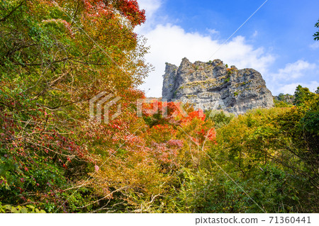 [Shodoshima, Kagawa Prefecture] Autumn Kankakei Autumn Leaves 71360441