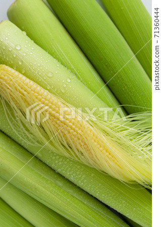 嫩殼,玉米筍,玉米,柔らかい殻、ベビーコーン、コーン、Tender husks, baby corn 嫩殼,玉米筍,玉米,柔らかい殻、ベビーコーン、コーン、Tender husks, baby corn 71360444
