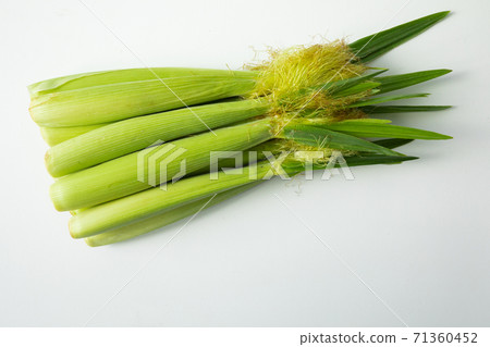 嫩殼,玉米筍,玉米,柔らかい殻、ベビーコーン、コーン、Tender husks, baby corn 嫩殼,玉米筍,玉米,柔らかい殻、ベビーコーン、コーン、Tender husks, baby corn 71360452