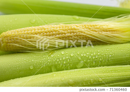 嫩殼，玉米筍，玉米，柔らかい殻、ベビーコーン、コーン、Tender husks, baby corn 71360460