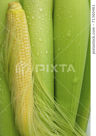 嫩殼,玉米筍,玉米,柔らかい殻、ベビーコーン、コーン、Tender husks, baby corn 嫩殼,玉米筍,玉米,柔らかい殻、ベビーコーン、コーン、Tender husks, baby corn 71360461