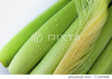 嫩殼，玉米筍，玉米，柔らかい殻、ベビーコーン、コーン、Tender husks, baby corn 71360466