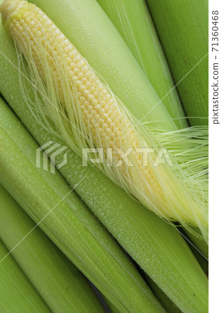 嫩殼，玉米筍，玉米，柔らかい殻、ベビーコーン、コーン、Tender husks, baby corn 71360468