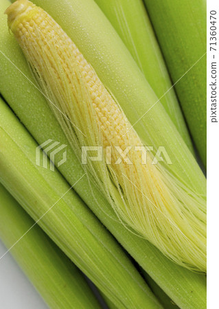 嫩殼，玉米筍，玉米，柔らかい殻、ベビーコーン、コーン、Tender husks, baby corn 71360470