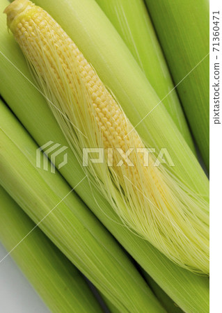 嫩殼，玉米筍，玉米，柔らかい殻、ベビーコーン、コーン、Tender husks, baby corn 71360471