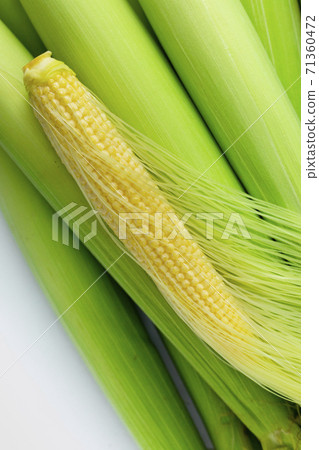 嫩殼，玉米筍，玉米，柔らかい殻、ベビーコーン、コーン、Tender husks, baby corn 71360472