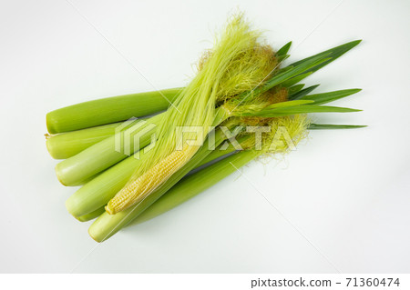 嫩殼，玉米筍，玉米，柔らかい殻、ベビーコーン、コーン、Tender husks, baby corn 71360474