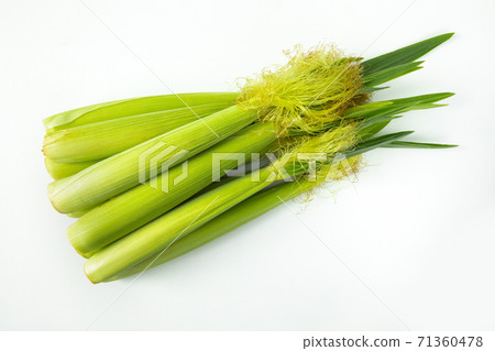 嫩殼，玉米筍，玉米，柔らかい殻、ベビーコーン、コーン、Tender husks, baby corn 71360478