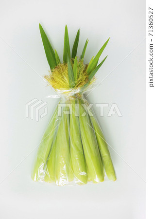 一整束,玉米筍,玉米,全体の束、ベビーコーン、コーン、baby corn, corn, 一整束,玉米筍,玉米,全体の束、ベビーコーン、コーン、baby corn, corn, 71360527