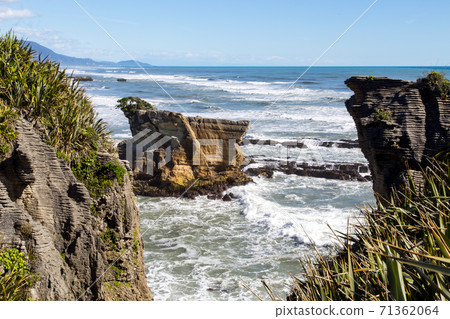 Punakaiki pancake rocks in New Zealand Punakaiki pancake rocks in New Zealand 71362064