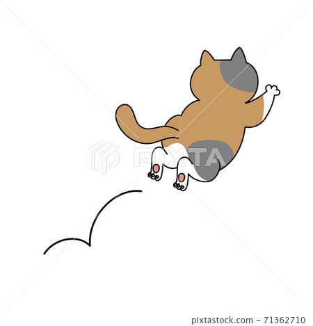 Back view of a jumping calico cat Back view of a jumping calico cat 71362710