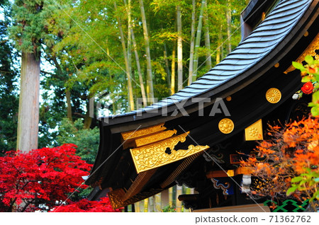 Japanese-style gate and bamboo, autumn leaves (up) Japanese-style gate and bamboo, autumn leaves (up) 71362762