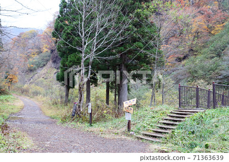 Karikomi Pond in late autumn (Ono City, Fukui Prefecture) 71363639