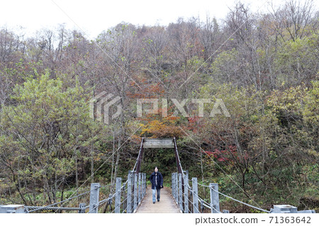 Karikomi Pond Hiking in Late Autumn (Ono City, Fukui Prefecture) 71363642