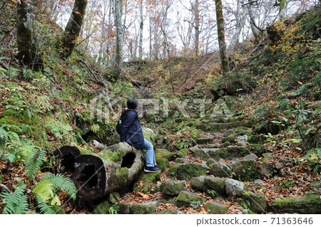 Karikomi Pond Hiking in Late Autumn (Ono City, Fukui Prefecture) 71363646