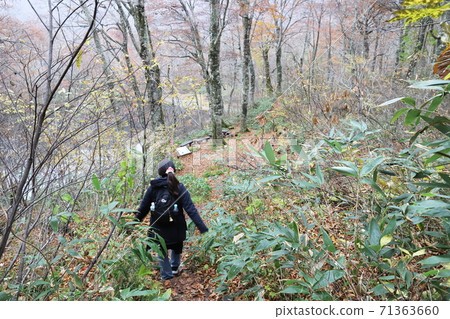 Karikomi Pond Hiking in Late Autumn (Ono City, Fukui Prefecture) 71363660