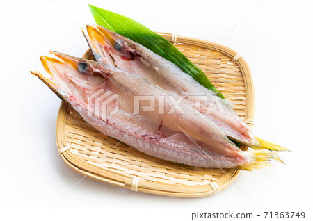 Raw red barracuda opening 71363749