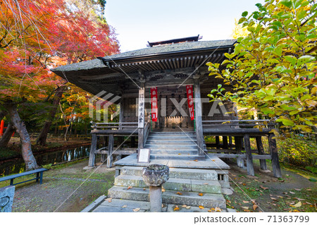 World Heritage Iwate Chusonji Autumn Leaves Bentai Tendo 71363799