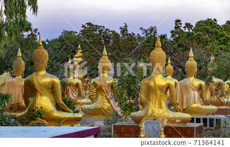 A group of golden Buddha statues at the Buddhist Cemetery. Sunset at the Buddhist temple.  71364141