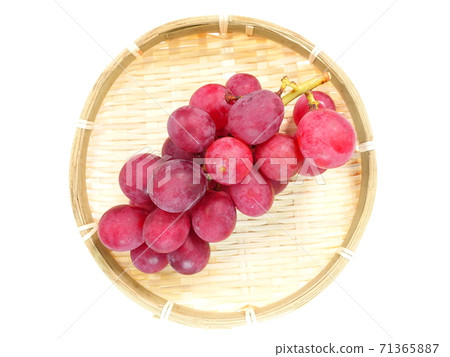 葡萄葡萄Aki Queen 71365887