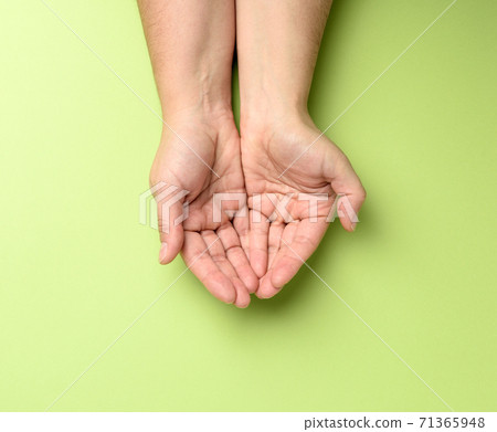 two female hands folded palm to palm on a green background two female hands folded palm to palm on a green background 71365948