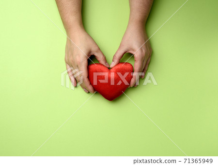 female hands holds red textile heart, green background female hands holds red textile heart, green background 71365949