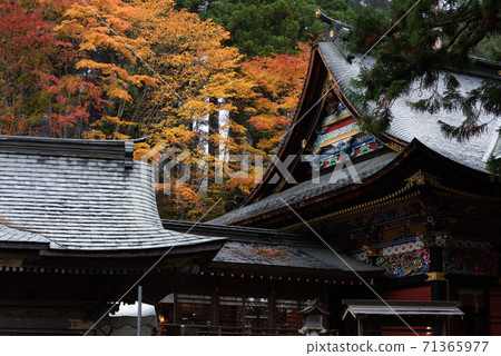 Autumn Mitsumine Shrine 71365977