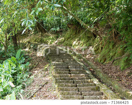 Hiking path and sunset in beautiful woods view Hiking path and sunset in beautiful woods view 71366425