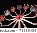 Ferris wheel  71366434