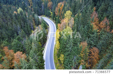 Empty road in the mountains through a dense forest, top view. 71366577