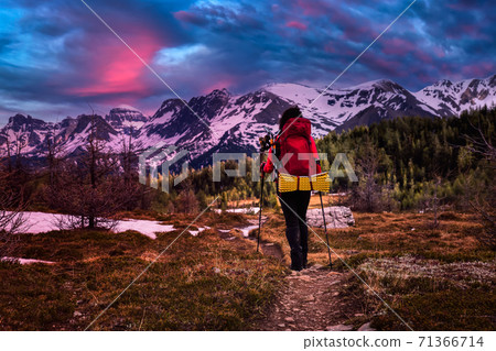 Female Backpacker Hiking in Canadian Rockies 71366714