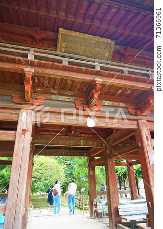 Morinji Bunbuku Chagama Bunbuku Chagama Sanmon Tanuki Tanuki Tanuki Statue 71366961