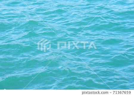 翡翠光海 翡翠光海 71367659