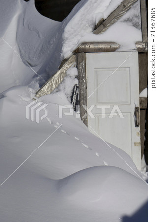 Newly snow as Background with wooden door in garden Newly snow as Background with wooden door in garden 71367685