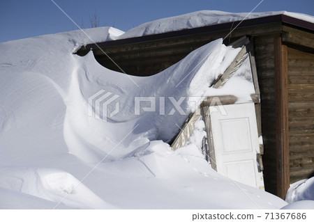 Newly snow as Background with wooden door in garden Newly snow as Background with wooden door in garden 71367686