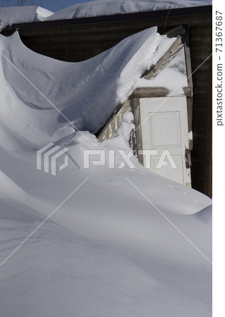 Newly snow as Background with wooden door in garden Newly snow as Background with wooden door in garden 71367687