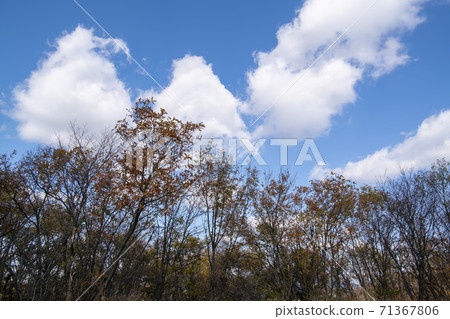 京畿道安山市蘇里山 京畿道安山市蘇里山 71367806