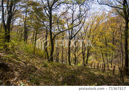 Surisan, Ansan City, Gyeonggi-do 71367817