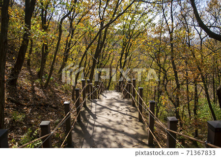 Surisan, Ansan City, Gyeonggi-do 71367833