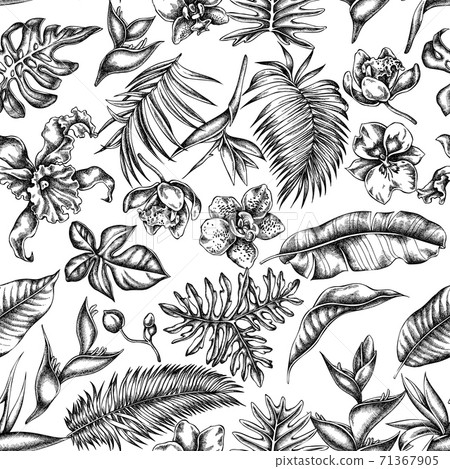 Seamless Pattern With Black And White Monstera Stock Illustration