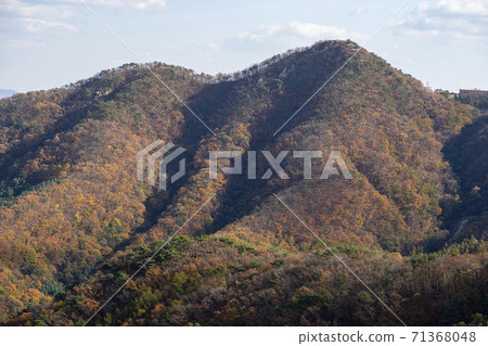 京畿道安山市蘇里山 71368048