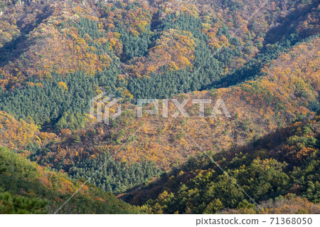 Surisan, Ansan City, Gyeonggi-do 71368050