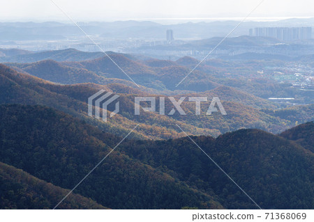 Surisan, Ansan City, Gyeonggi-do 71368069