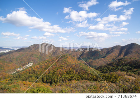 京畿道安山市蘇里山 71368674