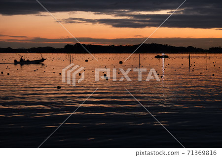 Matsushima Bay in the morning 71369816